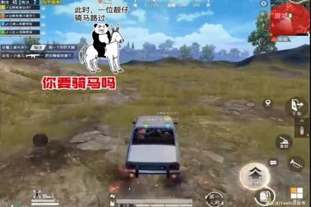 和平精英冷宴华撞车外挂还被骂(和平精英冷宴华打外挂)
