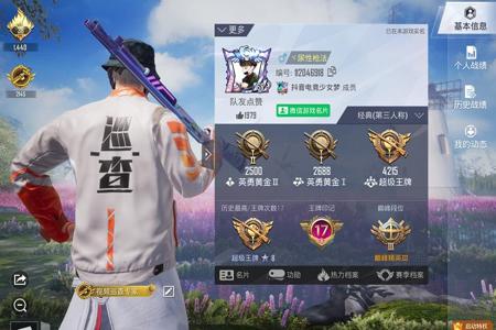 和平精英巡查开挂玩家怎么巡查(和平精英巡查到开挂玩家)