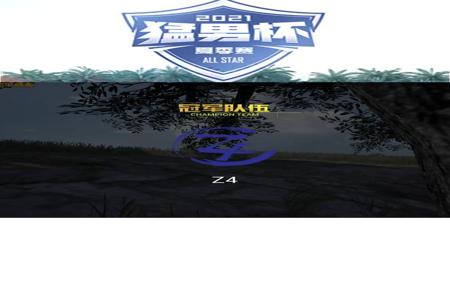 和平精英主播旺仔开挂是真的吗（和平精英主播都是开挂吗）