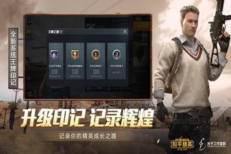 和平精英绘制辅助网站