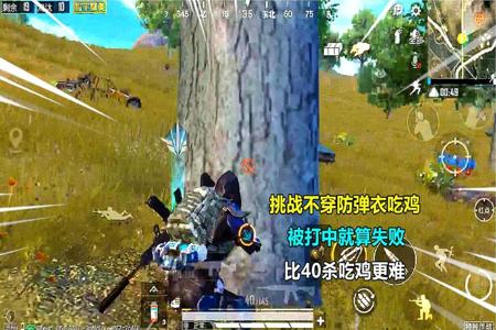 外挂vs各种主播挑战和平精英(吊打外挂的主播和平精英)