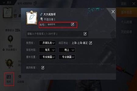 和平精英开挂歌用的都是什么歌名(和平精英战歌是什么名字)