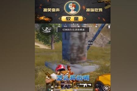 和平精英牧童被开挂人打死