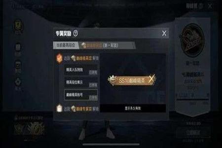 和平精英有锁血挂的qq群吗(和平精英里有没有锁血挂)