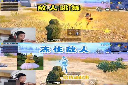 鲨鱼玩和平精英遇到开挂玩家（鲨鱼玩和平精英遇到的开挂玩家）
