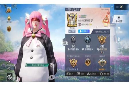 和平精英q区微信区哪个挂多(和平精英q区微信区哪个更强)