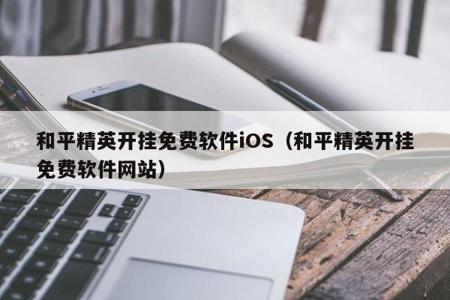 和平精英辅助网站购买软件