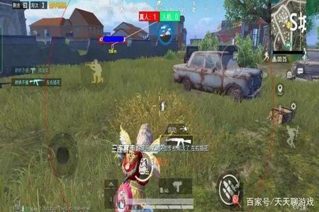 和平精英外挂为什么做不到死不了(和平精英外挂为什么不处理)