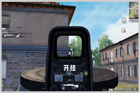 玩和平精英开全部麦假装是外挂(新手玩和平精英开外挂)