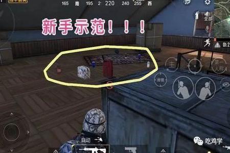 和平精英开挂小白衣大型纪录片(和平精英枪械大型纪录片)