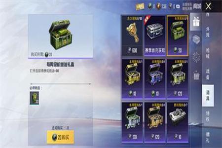 和平精英家园文艺挂饰有什么用(和平精英家园装饰币有什么作用)