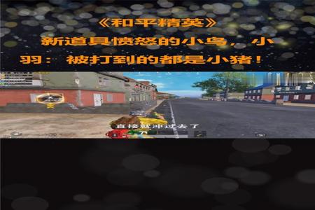 和平精英小羽被外挂一枪打爆头盔(和平精英小羽打外挂)
