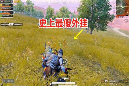 和平精英自己开外挂吓坏队友(和平精英自己开挂惊呆队友)