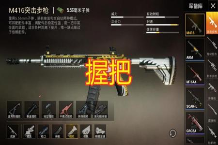 和平精英怎么不能随便挂一个枪(和平精英怎么不显示背挂枪械)
