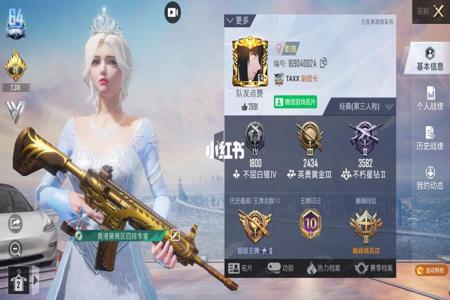 和平精英名片挂对象该怎么挂(和平精英挂情侣名片怎么挂)