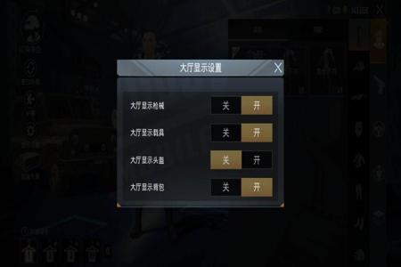 开挂和平精英展示怎么关闭