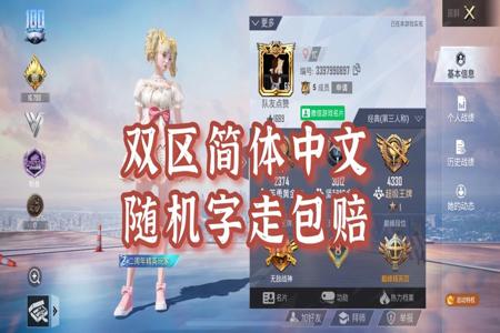 有和平精英辅助的网站吗