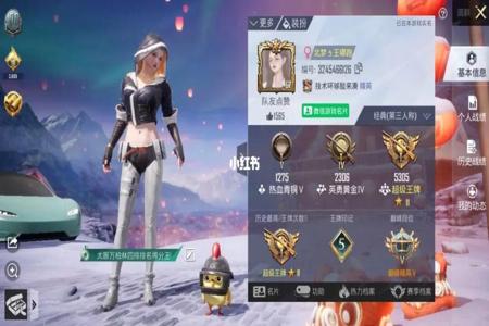 怎么样寻找和平精英游戏开挂玩家(怎么在和平精英游戏里面开挂)