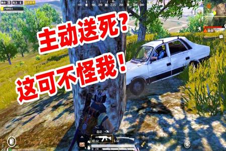 和平精英打的好就是挂是什么梗(和平精英打职业是什么梗)