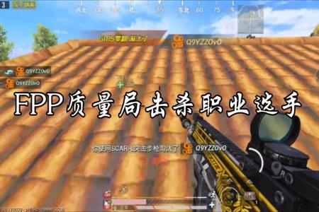 和平精英fpp单人外挂多吗(和平精英fpp单排有外挂)