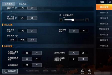 和平精英自己建辅助网站