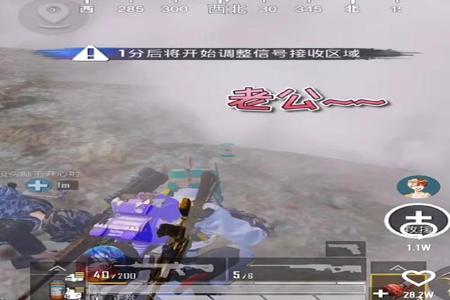 和平精英陪玩开挂导致被封了(和平精英陪玩开挂吗)