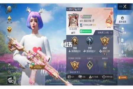 和平精英巡查员曝光女主播开挂(和平精英巡查女主播开挂)