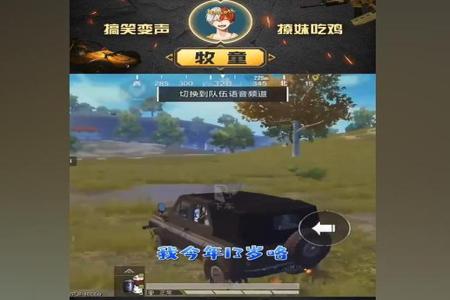 和平精英牧童开外挂巡查人员视角(和平精英牧童开挂的视角)