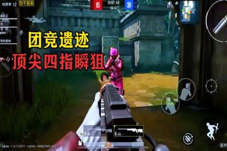 和平精英团队竞技外挂vs外挂(和平精英团队竞技外挂操作)