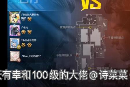 和平精英所有队伍联合对抗外挂（和平精英所有外挂名字）