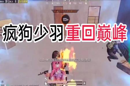 和平精英少羽和校长是怎么开挂的(和平精英少羽和校长的关系)