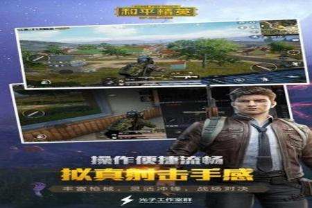 和平精英辅助工具网站下载手机版