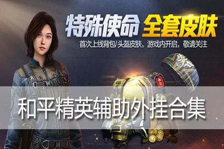 有和平精英辅助的网站
