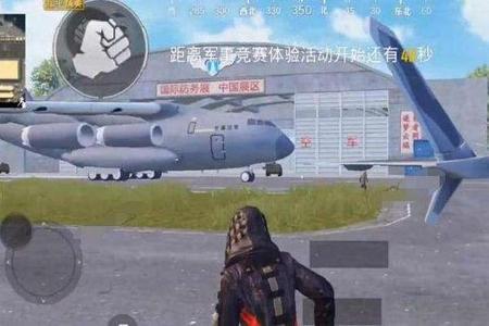 和平精英小黄鸡外挂为什么进不去(和平精英外挂为什么不处理)