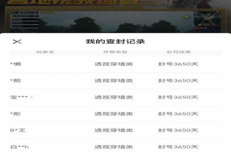 和平精英什么挂不会被封十年(和平精英什么挂不会被封号)