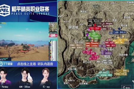 pel和平精英职业联赛疑似开挂(pel和平精英职业联赛第二天)
