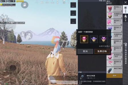 和平精英买挂去哪个网站