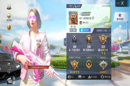 和平精英ss6赛季遇到外挂（和平精英ss18赛季遇到外挂）