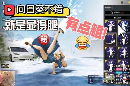 和平精英日葵小班为什么要开挂(和平精英向日葵小班怎么了)