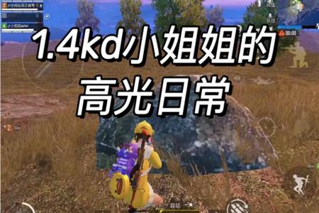 和平精英选手打任性外挂小姐姐(和平精英用弩小姐姐)