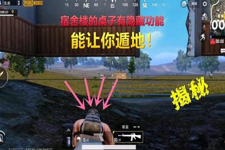 和平精英家园挂式镜子怎么打开(和平精英家园立体镜子怎么放)