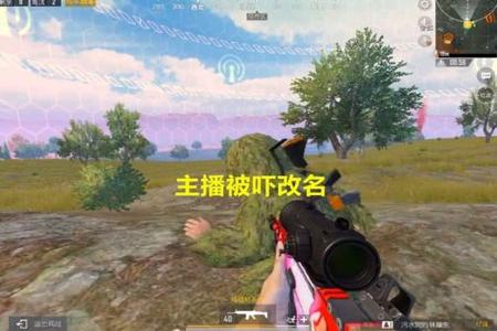玩和平精英碰到了外挂队友怎么办(和平精英碰到外挂了怎么办)