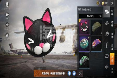 和平精英里面的猫怎么挂胸前(和平精英里的猫怎么抓)