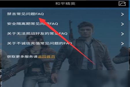 怎么在和平精英里开挂的软件