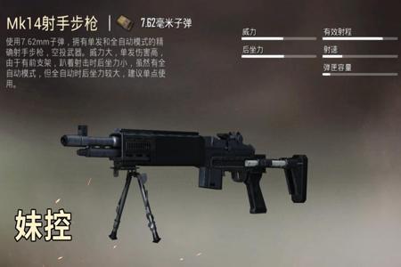 和平精英里面什么枪是外挂器(和平精英里面什么枪厉害)