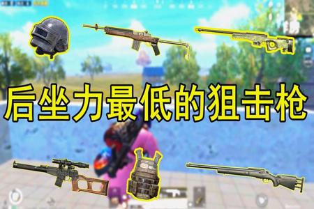 不求人说和平精英不能挂小手柄吗(和平精英现在能挂小手柄)
