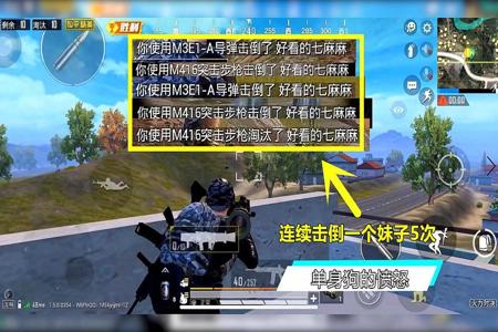 和平精英遇到外挂敌人怎么办(在和平精英里遇到外挂怎么办)