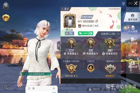 和平精英主动与开挂玩家组队(和平精英提示主动与外挂玩家组队)